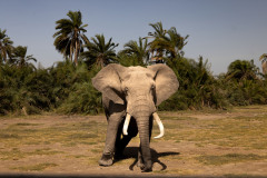 Picture: Michael O'Sullivan / OSM PHOTO