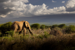Picture: Michael O'Sullivan / OSM PHOTO