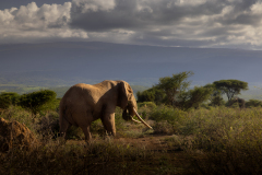 Picture: Michael O'Sullivan / OSM PHOTO