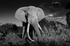 Picture: Michael O'Sullivan / OSM PHOTO
