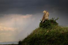 Picture: Michael O'Sullivan / OSM PHOTO