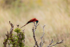 Picture: Michael O'Sullivan / OSM PHOTO